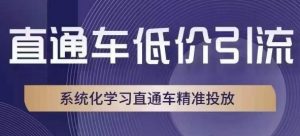 直通车低价引流课,系统化学习直通车精准投放-闪越社