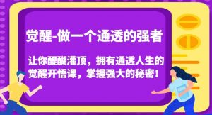 觉醒-做一个通透的强者,让你醍醐灌顶,拥有通透人生的觉醒开悟课,掌握强大的秘密!-闪越社