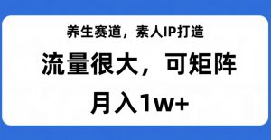 养生赛道,素人IP打造,流量很大,可矩阵,月入1w+【揭秘】-闪越社