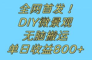全网首发冷门赛道！DIY微景观，无脑搬运视频，日收益800+【揭秘】-闪越社