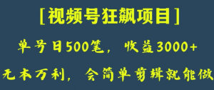 日收款500笔，纯利润3000+，视频号狂飙项目，会简单剪辑就能做【揭秘】-闪越社
