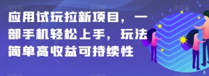 应用试玩拉新项目,一部手机轻松上手,玩法简单高收益可持续性【揭秘】-闪越社