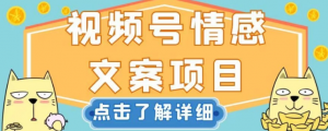 视频号情感文案项目,简单操作,新手小白轻松上手日入200+【揭秘】-闪越社