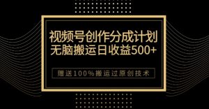 最新视频号创作分成计划，无脑搬运一天收益500+，100%搬运过原创技巧【揭秘】-闪越社