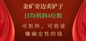 金矿旁边卖铲子,赚确定性的钱,可矩阵,可收徒,日均利润4位数【揭秘】-闪越社