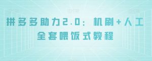 拼多多助力2.0:机刷+人工全套喂饭式教程【揭秘】-闪越社