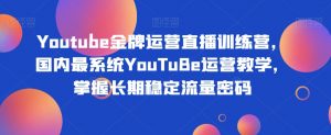 Youtube金牌运营直播训练营,国内最系统YouTuBe运营教学,掌握长期稳定流量密码-闪越社