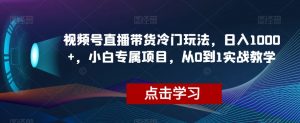 视频号直播带货冷门玩法，日入1000+，小白专属项目，从0到1实战教学【揭秘】-闪越社