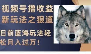 视频号撸收益新玩法之狼道，目前蓝海玩法，轻松月入过万【揭秘】-闪越社