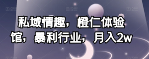 私域情趣，橙仁体验馆，暴利行业，月入2w【揭秘】-闪越社