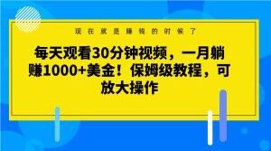 每天观看30分钟视频,一月躺赚1000+美金!保姆级教程,可放大操作【揭秘】-闪越社