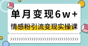 单月变现6W+，抖音情感粉引流变现实操课，小白可做，轻松上手，独家赛道【揭秘】-闪越社