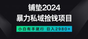 暴力私域捡钱项目,小白无脑操作,日入2980【揭秘】-闪越社