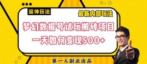 数据号回归玩法游戏试玩搬砖项目再创日入500+【揭秘】-闪越社