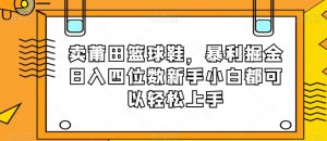 卖莆田篮球鞋,暴利掘金日入四位数新手小白都可以轻松上手【揭秘】-闪越社