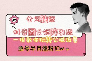 全网独家抖音图文矩阵引流,一招教你玩转公域流量,单号半月涨粉10w+【揭秘】-闪越社