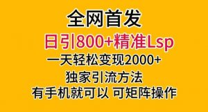 全网首发!日引800+精准老色批,一天变现2000+,独家引流方法,可矩阵操作【揭秘】-闪越社