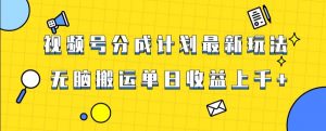 视频号最新爆火赛道玩法，只需无脑搬运，轻松过原创，单日收益上千【揭秘】-闪越社