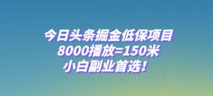 今日头条掘金低保项目，8000播放=150米，小白副业首选【揭秘】-闪越社