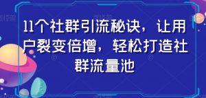 11个社群引流秘诀，让用户裂变倍增，轻松打造社群流量池-闪越社