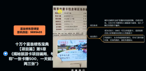 十万个富翁修炼宝典之5.揭秘旅游卡项目骗局，号称“一张卡赚500，一天能卖两三张”-闪越社