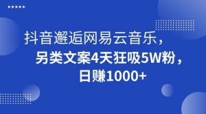 抖音邂逅网易云音乐，另类文案4天狂吸5W粉，日赚1000+【揭秘】-闪越社