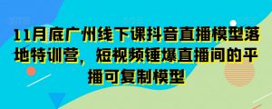 11月底广州线下课抖音直播模型落地特训营，短视频锤爆直播间的平播可复制模型-闪越社