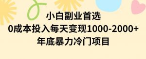 小白副业首选,0成本投入,每天变现1000-2000年底暴力冷门项目【揭秘】-闪越社
