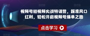 视频号短视频实战特训营，踩准风口红利，轻松开启视频号爆单之路-闪越社