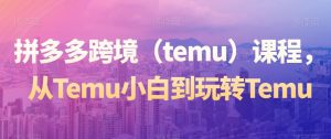 拼多多跨境（temu）课程，从Temu小白到玩转Temu-闪越社