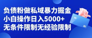 负债粉私域暴力掘金，小白操作入5000，无经验限制，无条件限制【揭秘】-闪越社