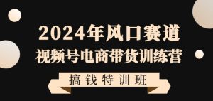 2024年风口赛道视频号电商带货训练营搞钱特训班,带领大家快速入局自媒体电商带货-闪越社