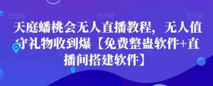 天庭蟠桃会无人直播教程，无人值守礼物收到爆【免费整蛊软件+直播间搭建软件】-闪越社