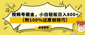视频号掘金,小白轻松日入800+(附100%过原创技巧)【揭秘】-闪越社