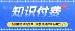 2024最新知识付费项目，小白也能轻松入局，全网都在教你做项目，我教你做镰刀【揭秘】-闪越社