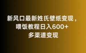 新风口最新姓氏壁纸变现，喂饭教程日入600+【揭秘】-闪越社
