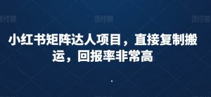 小红书矩阵达人项目，直接复制搬运，回报率非常高-闪越社