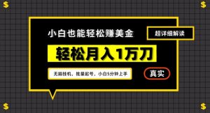 谷歌看广告撸美金2.0,无脑挂机,多号操作,月入1万刀【揭秘】-闪越社
