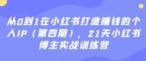 从0到1在小红书打造赚钱的个人IP（第四期），21天小红书博主实战训练营-闪越社