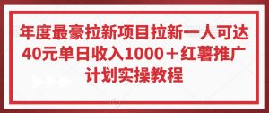 年度最豪拉新项目拉新一人可达40元单日收入1000＋红薯推广计划实操教程【揭秘】-闪越社