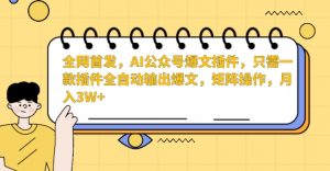 全网首发,AI公众号爆文插件,只需一款插件全自动输出爆文,矩阵操作,月入3W+【揭秘】-闪越社