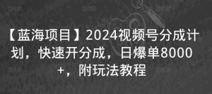 【蓝海项目】2024视频号分成计划,快速开分成,日爆单8000+,附玩法教程-闪越社