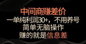 中间商赚差价,一单纯利润30+,简单无脑操作,赚的就是信息差,轻轻松松日入1000+【揭秘】-闪越社