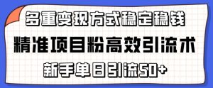 精准项目粉高效引流术,新手单日引流50+,多重变现方式稳定赚钱【揭秘】-闪越社