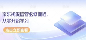 京东初级运营必修课程,从零开始学习-闪越社