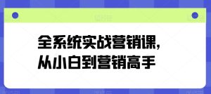 全系统实战营销课，从小白到营销高手-闪越社