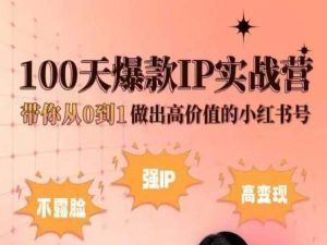 小红书100天爆款IP实战营，带你从0到1做出高价值的小红书号-闪越社