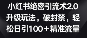 小红书绝密引流术2.0升级玩法,破封禁,轻松日引100+精准流量【揭秘】-闪越社