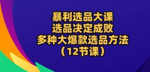 暴利选品大课:选品决定成败,教你多种大爆款选品方法(12节课)-闪越社