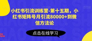 小红书引流训练营-第十五期,小红书矩阵号月引流80000+到微信方法论-闪越社